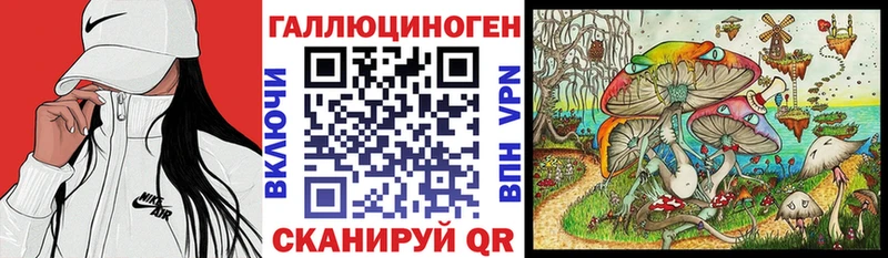Галлюциногенные грибы Psilocybine cubensis Каменногорск